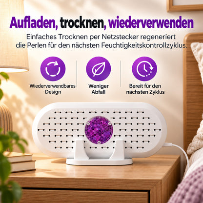 ⏳🔥 NUR FÜR KURZE ZEIT 50 % RABATT! ⏰ Mini-Wiederverwendbarer Luftentfeuchter für den Haushalt
