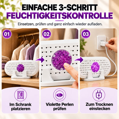 ⏳🔥 NUR FÜR KURZE ZEIT 50 % RABATT! ⏰ Mini-Wiederverwendbarer Luftentfeuchter für den Haushalt
