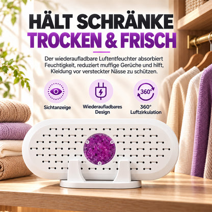 ⏳🔥 NUR FÜR KURZE ZEIT 50 % RABATT! ⏰ Mini-Wiederverwendbarer Luftentfeuchter für den Haushalt