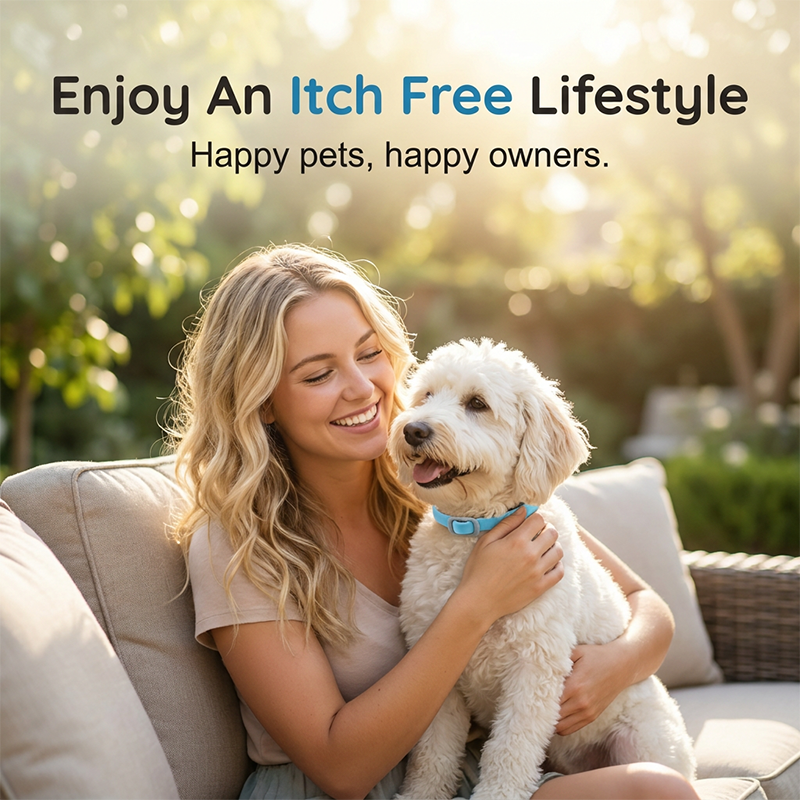 60%off🐕Natural Essential Oil Pet Pest Repellent Collar